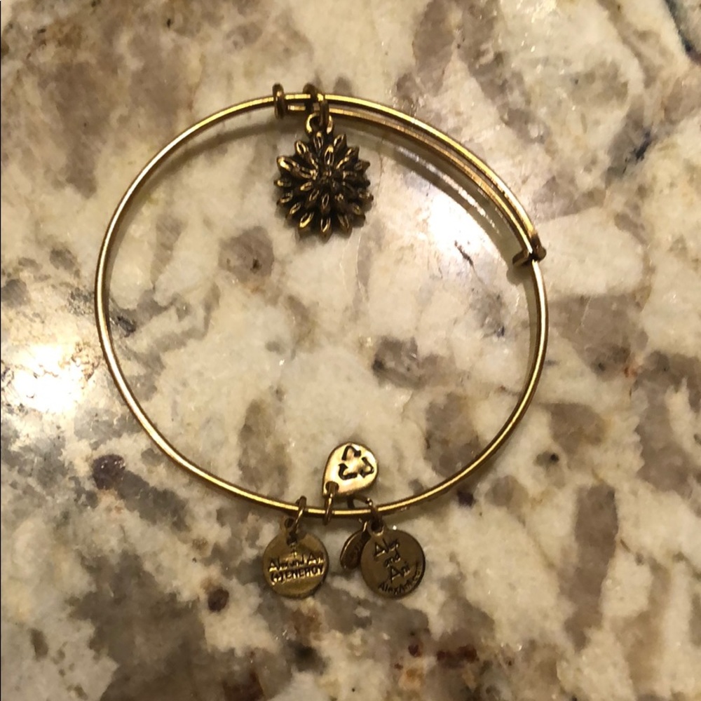 Alex and ani